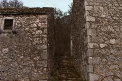dsc01642_edited-1